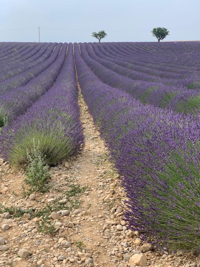 Studio Nuitee En Provence 2 เออกีส์ ภายนอก รูปภาพ