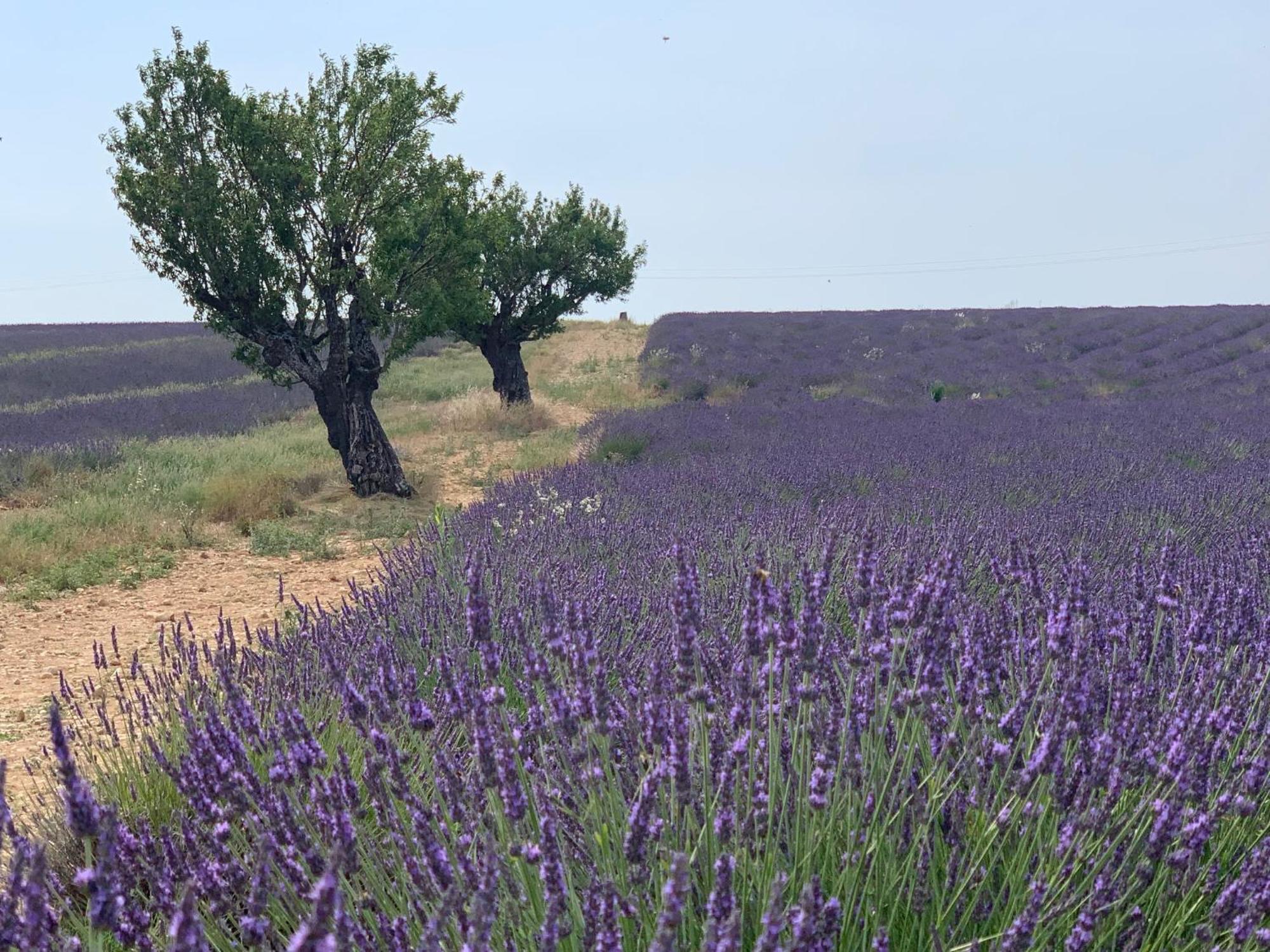 Studio Nuitee En Provence 2 เออกีส์ ภายนอก รูปภาพ